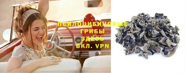 меф VHQ Дмитриев