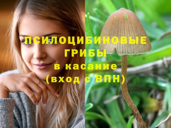 a pvp Дмитровск