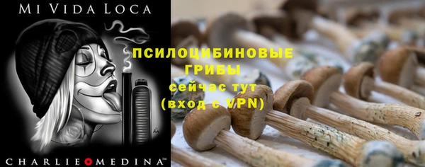 эйфоретик Дмитров