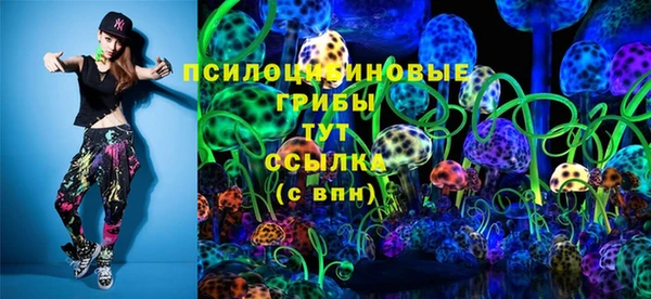 эйфоретик Дмитров
