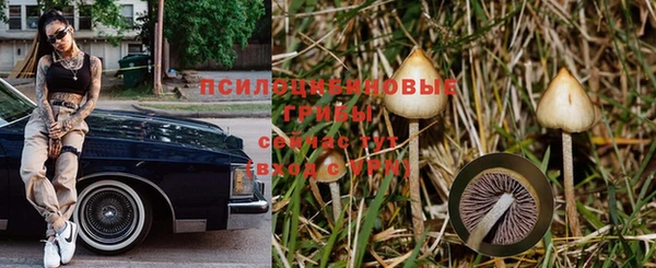 a pvp Дмитровск