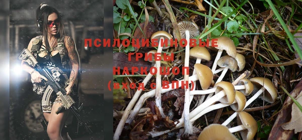 a pvp Дмитровск