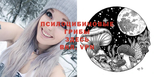 меф VHQ Дмитриев