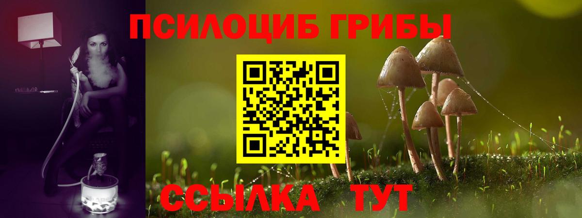 Заречный  Псилоцибиновые грибы мицелий  Вход с VPN 